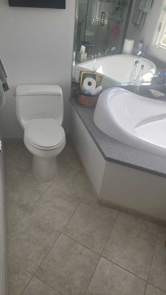New Toilet Installation with Drain Charmer Plumbing & Rooter